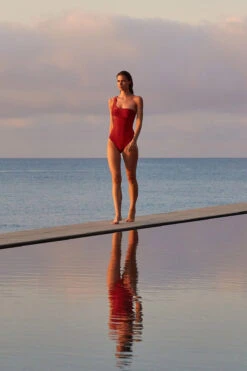 Maillot De Bain Une Pièce Bois De Rose LUCRECE BOHIMIA -Joli Vetement 21e lucrece bohimia 41n73 dev7